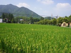 -莫干山风景区