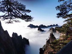 -自游人·美食一楼·地道徽菜(三十年名店)