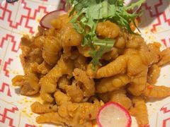 -巴特餐饮6加1音乐餐吧·新疆菜