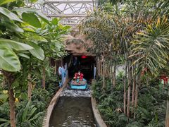 -南宫五洲植物乐园
