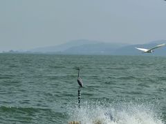 -滇池海埂公园