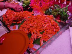 -好伦哥比萨烤肉自助(马家堡店)