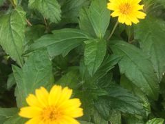 -元启堂·中医正骨推拿·经络足道(夏湾店)