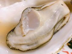 蒸汽生蚝-辉记炭烧海鲜大排档·老字号(福田店)