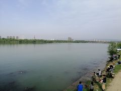-灞河西岸滨河公园