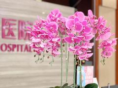 -希玛爱康健口腔(罗湖火车站店)