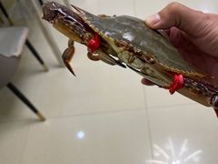 -春华海鲜城(广场西苑店)