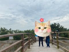 -日照海滨国家森林公园