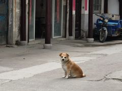 -丝绸小镇荻港古村