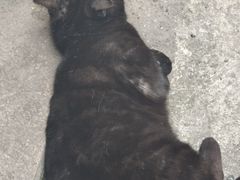 -野水沟小商品批发市场