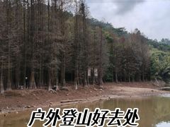 -滴水岩森林公园