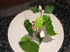 -伊藤久右卫门(宇治本店)