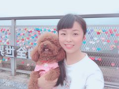-小日子天台(二厂文创公园店)