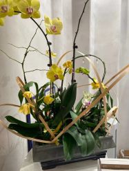 -Kraemer Paris  苏豪路易士·嘉玛发廊