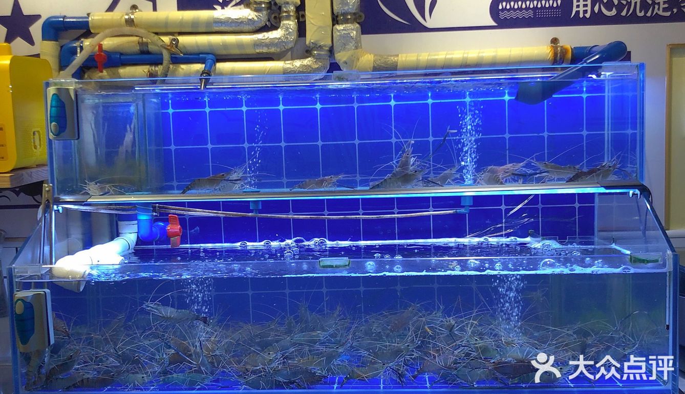 门口虽然要叫号，不过等待时间很快