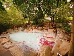 -湖泉半山温泉(湖泉生态园)