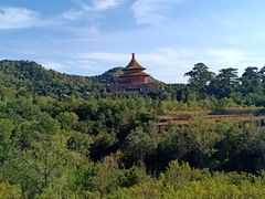 -磬锤峰森林公园