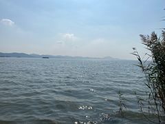 -上海市保健医疗中心