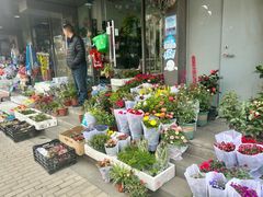 -本溪路花鸟市场(江浦路1709弄小区店)