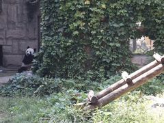 -北京动物园