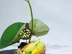 -宋宴(虎跑店)