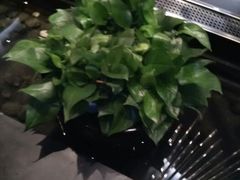 android_upload_pic-王家渡火锅店(棕榈泉店)