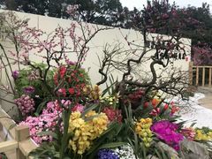 -南山植物园