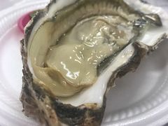 -垦丁辉哥生鱼片