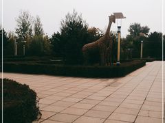-大青山野生动物园