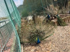 -南京金牛湖风景区