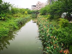 -黄埔古港