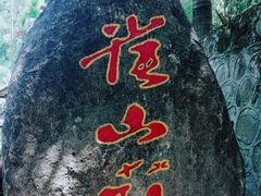 -西双版纳原始森林公园