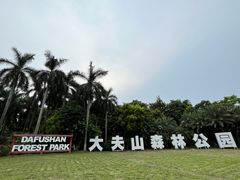 -番禺大夫山森林公园