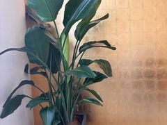 -恒悦轩·粤菜(上海展览中心店)