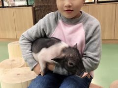 -藦茜花园宠物主题亲子互动体验馆(国顺东路店)