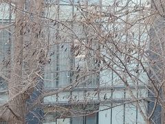 -北京师范大学邱季端体育馆