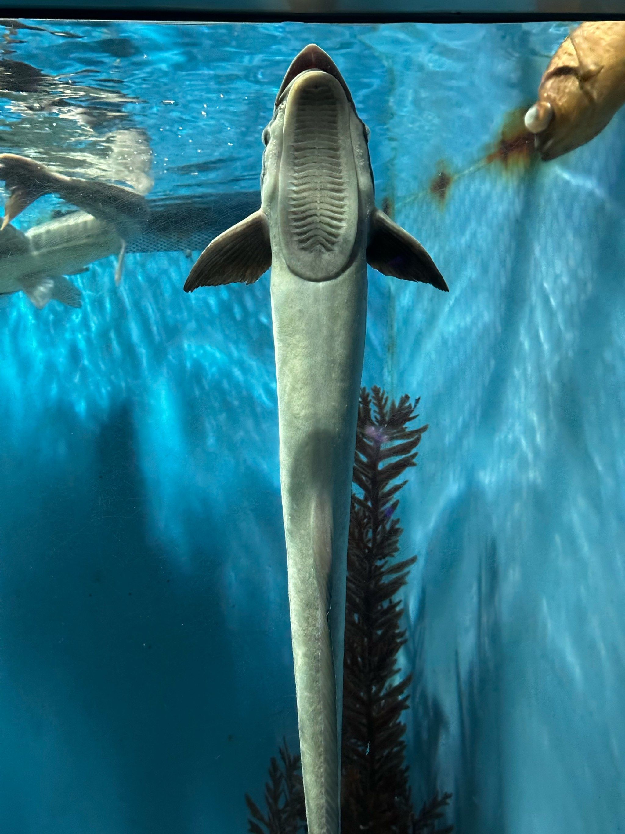 有灵性请善待每一个生命 #生命在于运动健康在于行动 #海底世界真奇妙