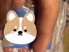 -鎏年一木各照相馆·证件照(华洋堂店)