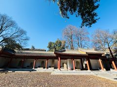 -黄帝陵