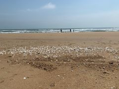 -东海岛旅游度假区