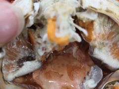 -四海蒸鲜蒸汽海鲜自助(北戴河店)