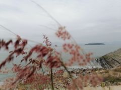 -七鲜渔港美食餐厅(巽寮湾海景店)