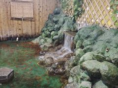 -上海大自然野生昆虫馆