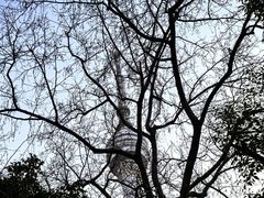 -龟山风景区-龟山电视塔