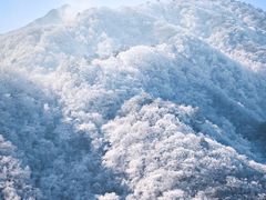-安吉龙王山风景区