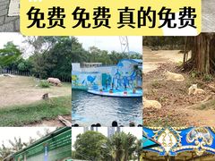-深圳野生动物园