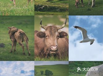 内蒙古｜达达线｜网红公路究竟能有多美？