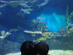 -华夏文旅海洋公园