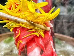 -羊大爷涮肉(亮马桥店)