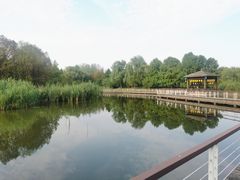 -同里国家湿地公园